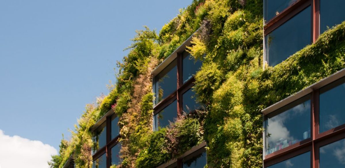 Finale du Greenlab