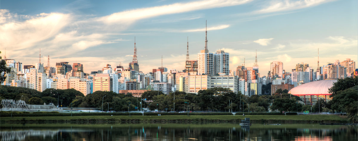 Contact day: the Brazilian market