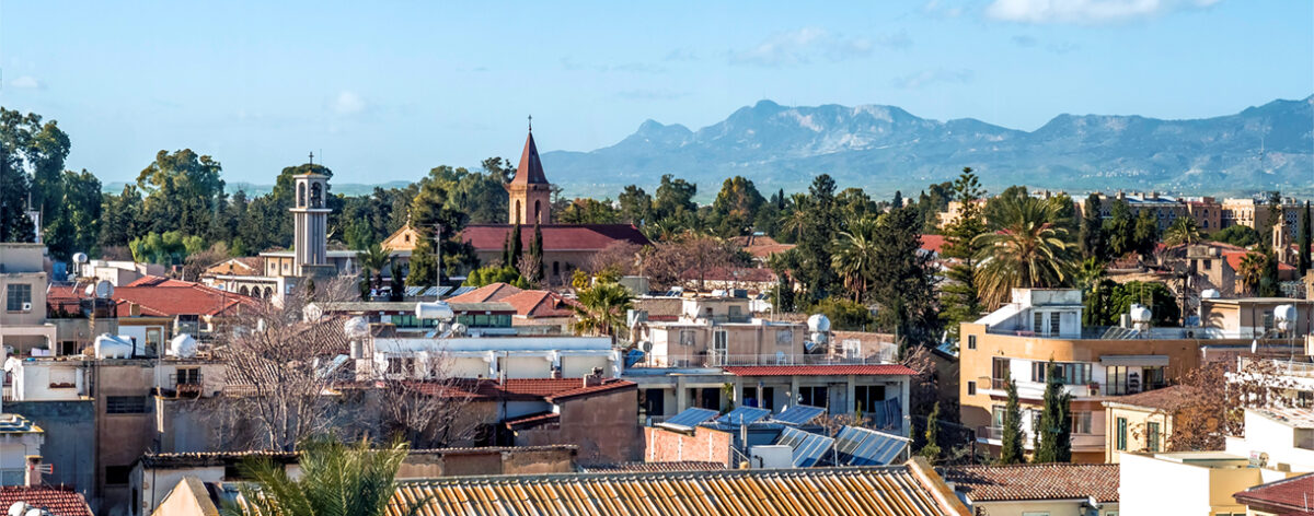 Contact day: the Cyprus market