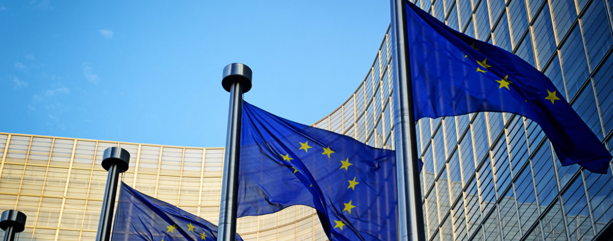 Contact day: European Institutions and international organisations
