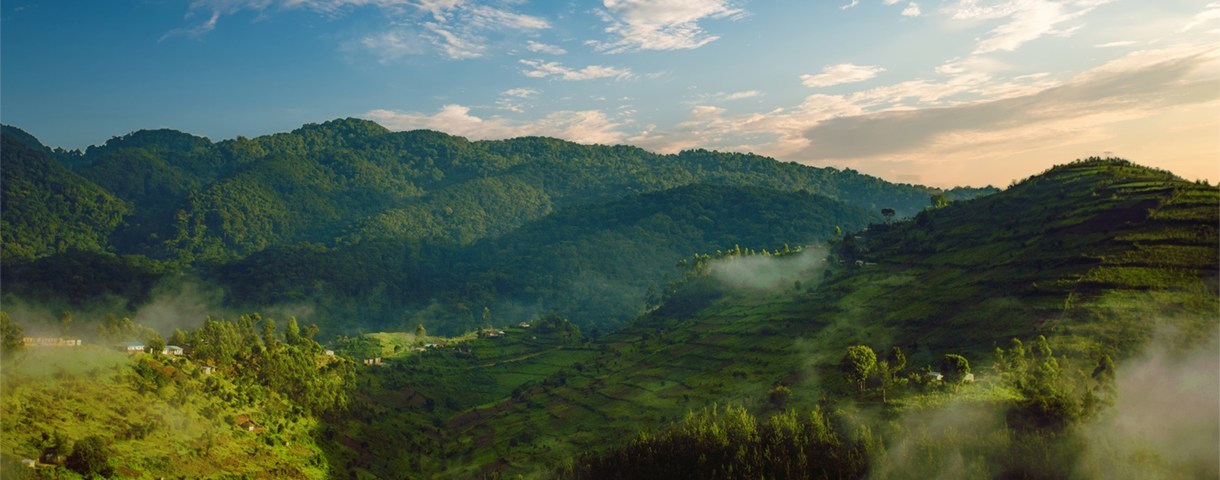 Mission économique au Congo