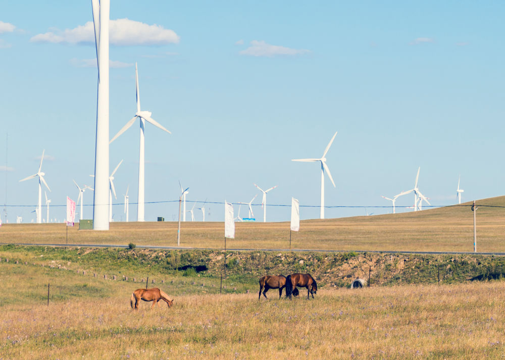 Economic mission to Mongolia