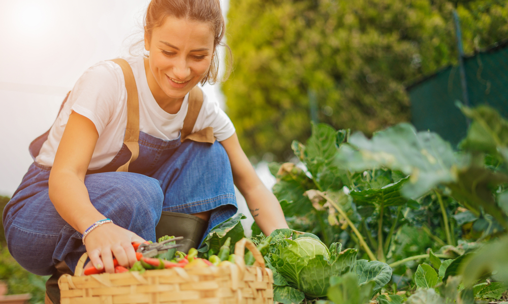 Young Entrepreneurs of Tomorrow – Ondersteunende organisaties