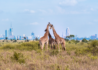 Info Session for the Upcoming Economic Mission to Kenya