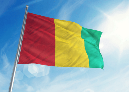 Seminar on Guinea Conakry
