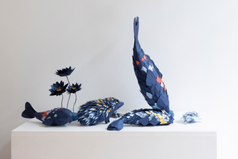 Margaux Baert, Paper Art & Craft Design Studio