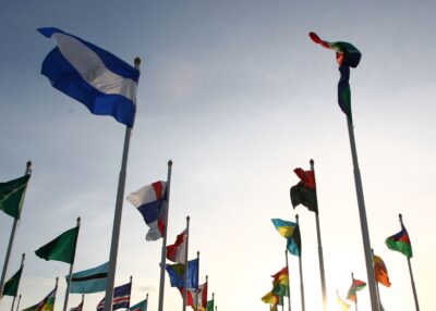 Vrijhandelsakkoorden: hoe haal je er voordeel uit?