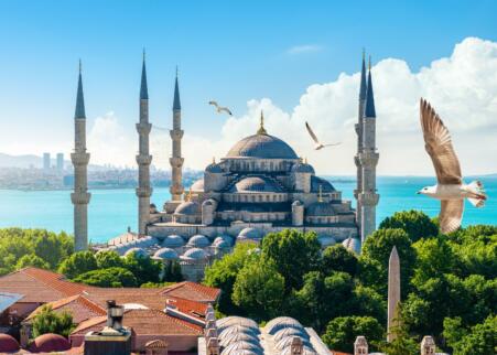 Mission économique belge en Turquie : les Bruxellois au rendez-vous