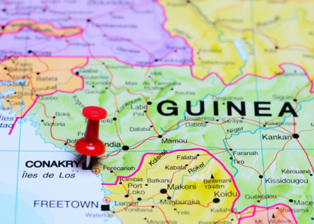 Economic Mission to the Republic of Guinea